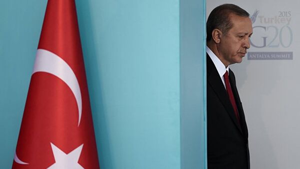 土耳其总统：与俄方及国际联军商定的情况下土耳其或参与解放拉卡 - 俄罗斯卫星通讯社