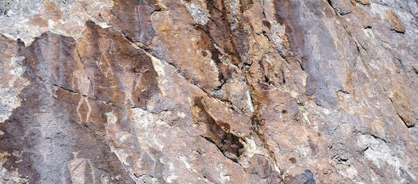 研究發現最古老的洞穴壁畫是星座圖像 - 俄羅斯衛星通訊社