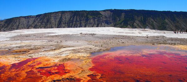 一中國遊客因在美國黃石公園收集溫泉水被罰款1000美元 一中國遊客因在美國黃石公園收集溫泉水被罰款1000美元 - 俄羅斯衛星通訊社