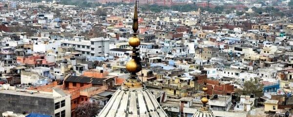 印度，德里 - 俄罗斯卫星通讯社