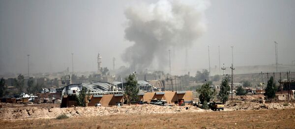 伊拉克慶祝費盧傑市解放 伊拉克慶祝費盧傑市解放 - 俄羅斯衛星通訊社