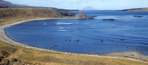 在千島群島找到二戰時期日本飛機 - 俄羅斯衛星通訊社