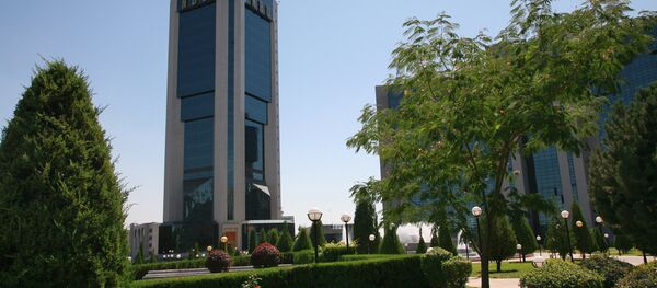 乌兹别克斯坦首都塔什干 - 俄罗斯卫星通讯社