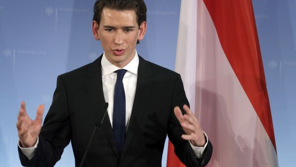 奥地利总理：欧洲应集中力量保护外部边界 - 俄罗斯卫星通讯社