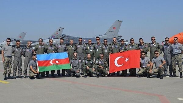阿国防部：阿塞拜疆与土耳其开始联合军演 - 俄罗斯卫星通讯社