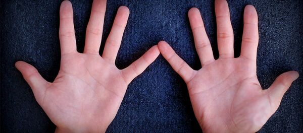 政治谬论。西方在哪里找到了“克宫之手”? 政治谬论。西方在哪里找到了“克宫之手”? - 俄罗斯卫星通讯社