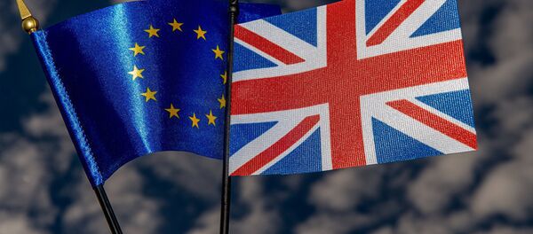 媒体：英国脱欧对中国是一次政治与经济打击 - 俄罗斯卫星通讯社