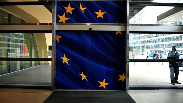 欧盟官员：欧盟委员会呼吁欧洲议会和欧盟理事会对格鲁吉亚和乌克兰取消签证 - 俄罗斯卫星通讯社