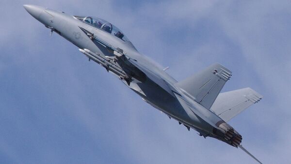 F/A-18大黃蜂戰鬥轟炸機 - 俄羅斯衛星通訊社