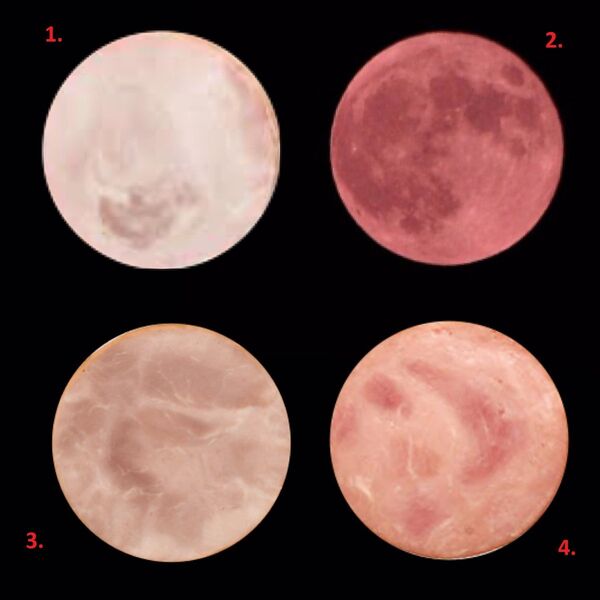 以下1、2、3、4哪张图片上是月亮？ - 俄罗斯卫星通讯社