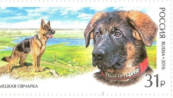 俄羅斯郵政推出幼犬多佈雷尼亞圖案郵票 - 俄羅斯衛星通訊社