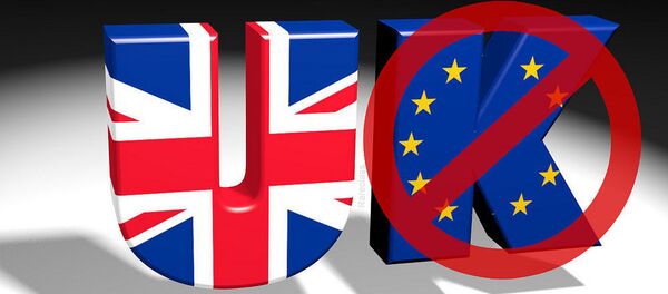 中国专家：脱欧公投结果表明英国正式结束参与欧洲一体化 - 俄罗斯卫星通讯社