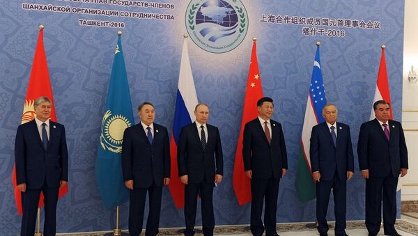 上海合作組織成員國元首理事會通過《塔什乾宣言》 - 俄羅斯衛星通訊社