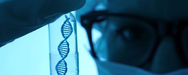 科学家首次实现培植人猪结合体 - 俄罗斯卫星通讯社