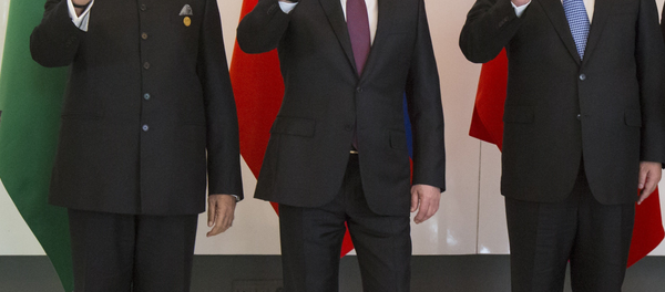 俄专家：上合组织扩大将加强俄中印三方合作 - 俄罗斯卫星通讯社