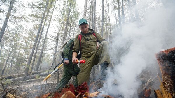 伊尔库茨克州正对总面积超过100公顷的7场森林火灾实施灭火作业