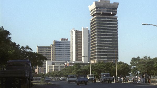 津巴布韦 - 俄罗斯卫星通讯社
