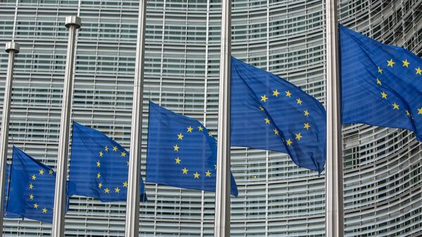 歐盟尖銳批評了中方提出的烏克蘭問題倡議 - 俄羅斯衛星通訊社