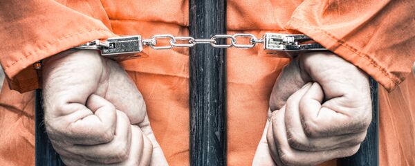 美国政府因新冠病毒疫情从监狱释放大约2000名囚犯 - 俄罗斯卫星通讯社