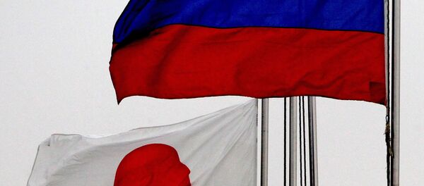 俄日安全问题磋商定于 7 月举行 - 俄罗斯卫星通讯社