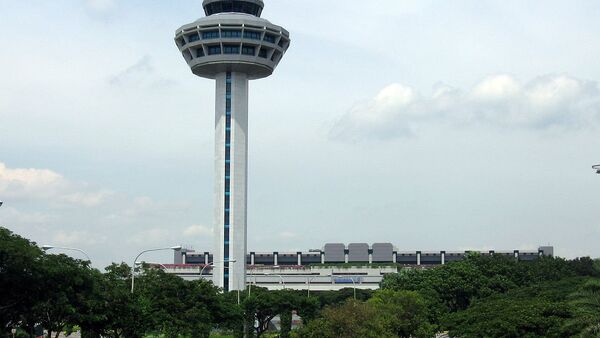 新加坡樟宜機場 - 俄羅斯衛星通訊社