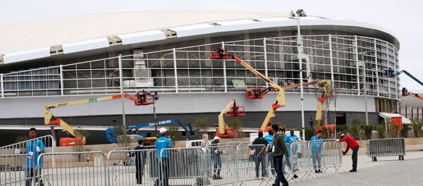 巴西当局称2016年奥运会期间几乎不存在感染寨卡病毒的风险 - 俄罗斯卫星通讯社