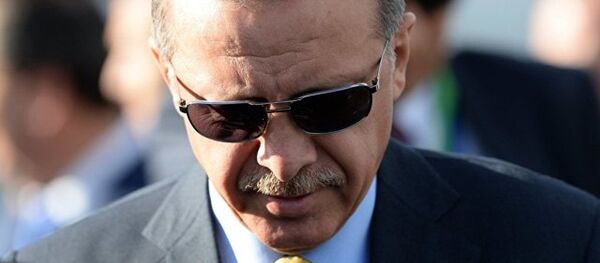 埃尔多安发言人:土耳其不打算赔偿俄被击落苏-24战机 埃尔多安发言人:土耳其不打算赔偿俄被击落苏-24战机 - 俄罗斯卫星通讯社