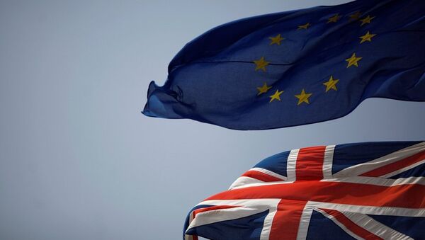 其余欧盟成员国批准英国“脱欧”协议 - 俄罗斯卫星通讯社