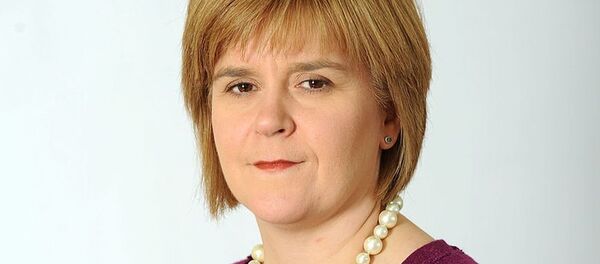 斯特金 - 俄罗斯卫星通讯社