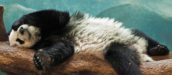 一周內哪天睡得最好？ - 俄羅斯衛星通訊社