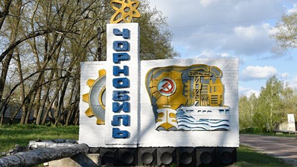 烏克蘭自然部：中國對在切爾諾貝利建設發電站感興趣 - 俄羅斯衛星通訊社
