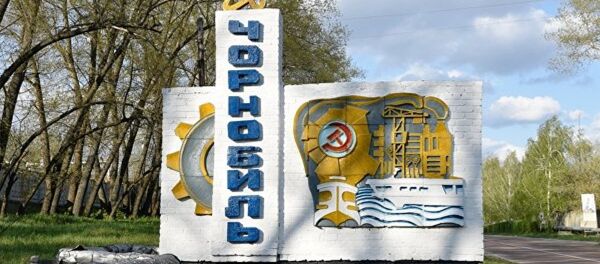 乌克兰自然部：中国对在切尔诺贝利建设发电站感兴趣 - 俄罗斯卫星通讯社