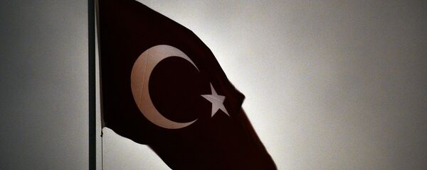 土耳其国旗 - 俄罗斯卫星通讯社