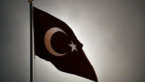 土耳其国旗 - 俄罗斯卫星通讯社