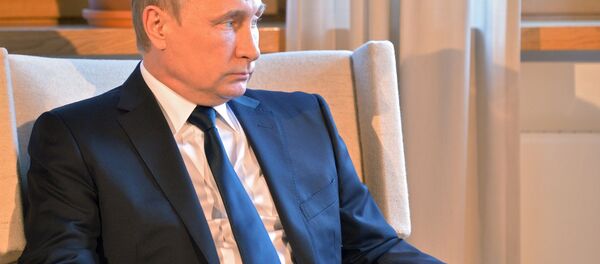 普京已同意制定波羅的海地區飛行安全措施的制度 - 俄羅斯衛星通訊社