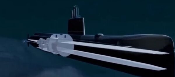 美国对中国潜艇力量迅猛发展感到不安 - 俄罗斯卫星通讯社