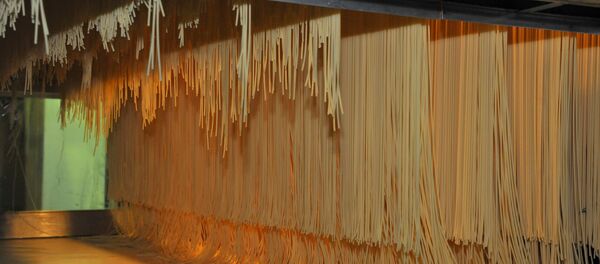 俄將出口意大利通心粉 俄將出口意大利通心粉 - 俄羅斯衛星通訊社