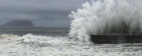 台风致越南遇难人数已达27人 台风致越南遇难人数已达27人 - 俄罗斯卫星通讯社