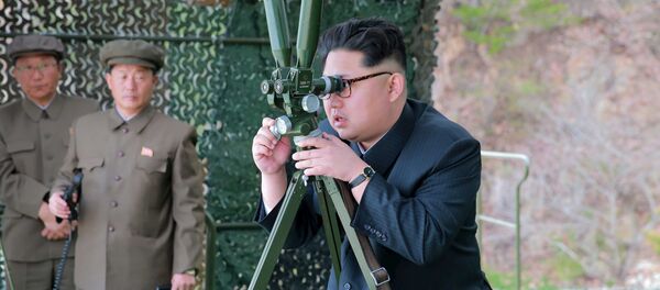 媒体：金正恩称发射导弹是对美韩军演的回应 - 俄罗斯卫星通讯社