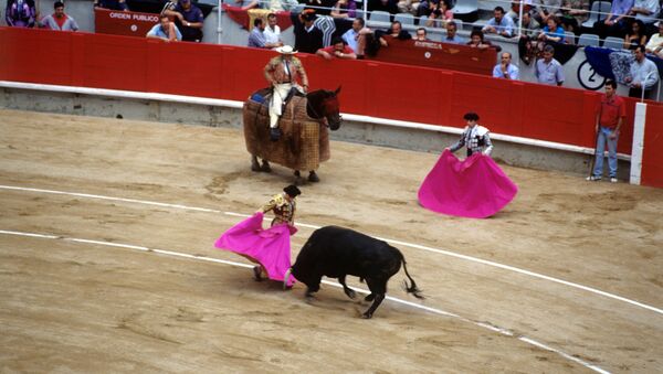 在西班牙公牛30年來首次有鬥牛士被殺死 - 俄羅斯衛星通訊社
