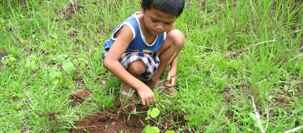 印度北方邦24小時內將植樹5000萬棵 - 俄羅斯衛星通訊社