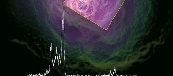 科学家们展示了从日本Hitomi望远镜发回的照片 - 俄罗斯卫星通讯社