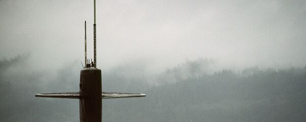 美國“俄亥俄”號核潛艇 - 俄羅斯衛星通訊社