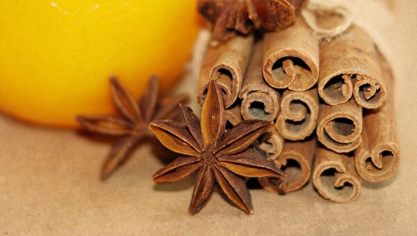 科學家：肉桂可提高學習能力 - 俄羅斯衛星通訊社