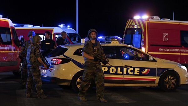 媒体：法国又拘捕两名尼斯恐袭涉案者 - 俄罗斯卫星通讯社
