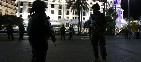 法国尼斯一辆货车冲入人群 车上有人开火造成人员死亡 - 俄罗斯卫星通讯社