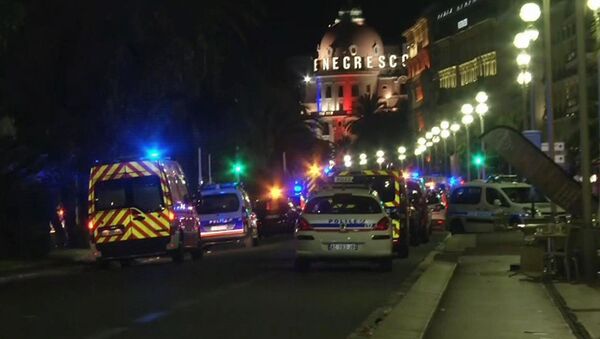 法国卫生部长：尼斯恐怖袭击案19名伤者仍生命危急 - 俄罗斯卫星通讯社