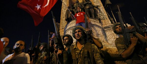 声明：欧盟各国外长呼吁土耳其当局在政变企图后保持克制 - 俄罗斯卫星通讯社