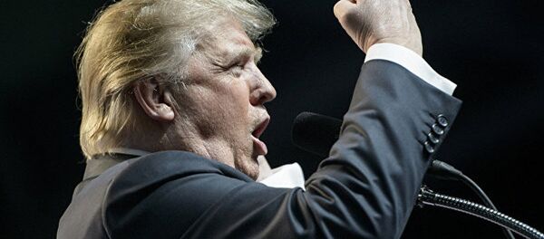 中国专家:特朗普对华战略尚未形成 谈人民币汇率仅是其选举策略 中国专家:特朗普对华战略尚未形成 谈人民币汇率仅是其选举策略 - 俄罗斯卫星通讯社