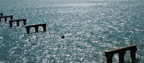 30名俄罗斯游泳运动员横渡科赤海峡游到克里米亚 - 俄罗斯卫星通讯社